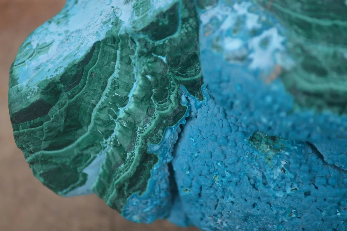 Natural Blue Chrysocolla On Silky Malachite Matrix Specimen x 1 From Kulukuluku, Congo