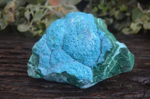 Natural Blue Chrysocolla On Silky Malachite Matrix Specimen x 1 From Kulukuluku, Congo