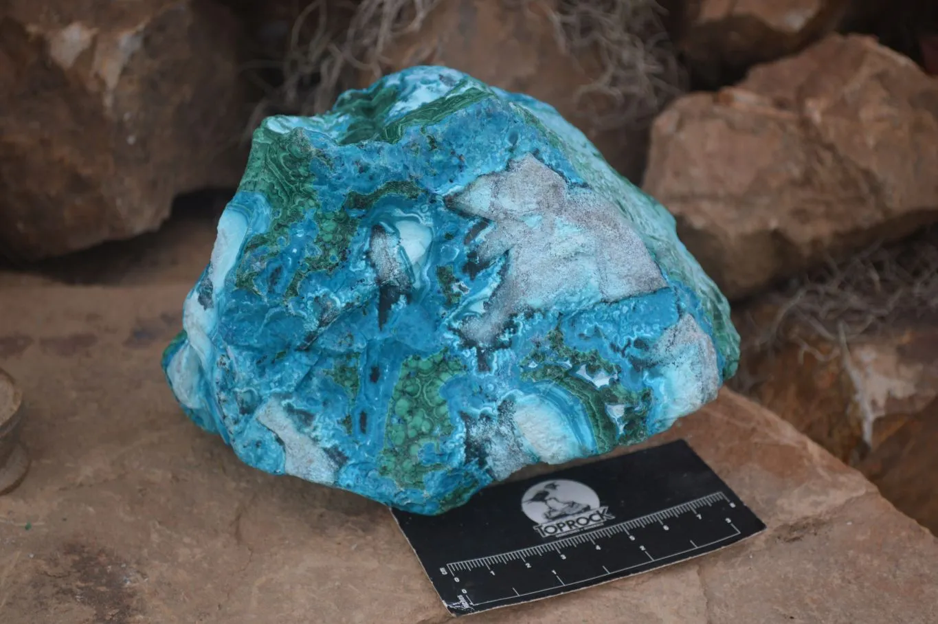 Natural Blue Chrysocolla On Silky Malachite Matrix Specimen x 1 From Kulukuluku, Congo