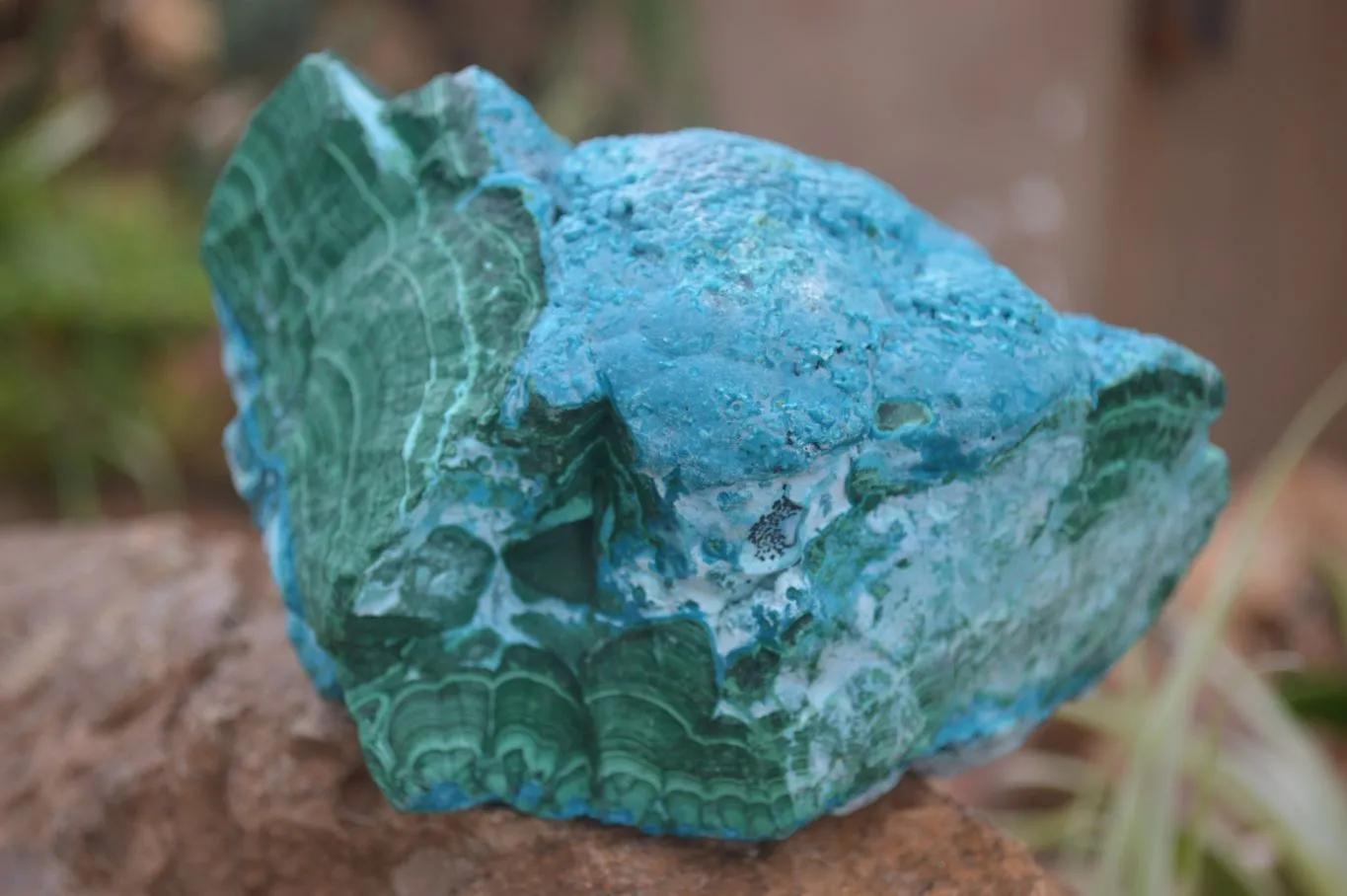 Natural Blue Chrysocolla On Silky Malachite Matrix Specimen x 1 From Kulukuluku, Congo