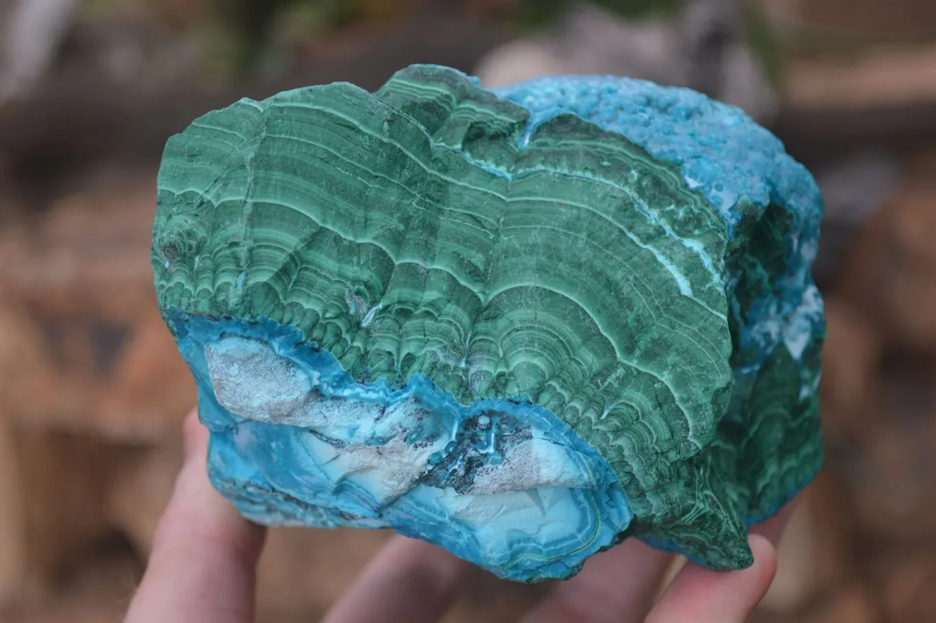 Natural Blue Chrysocolla On Silky Malachite Matrix Specimen x 1 From Kulukuluku, Congo