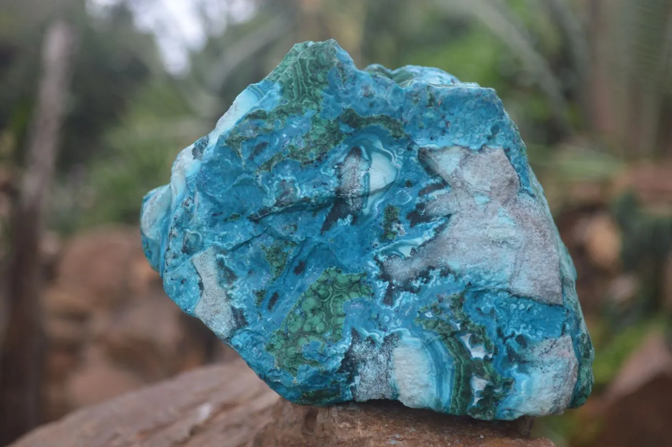 Natural Blue Chrysocolla On Silky Malachite Matrix Specimen x 1 From Kulukuluku, Congo