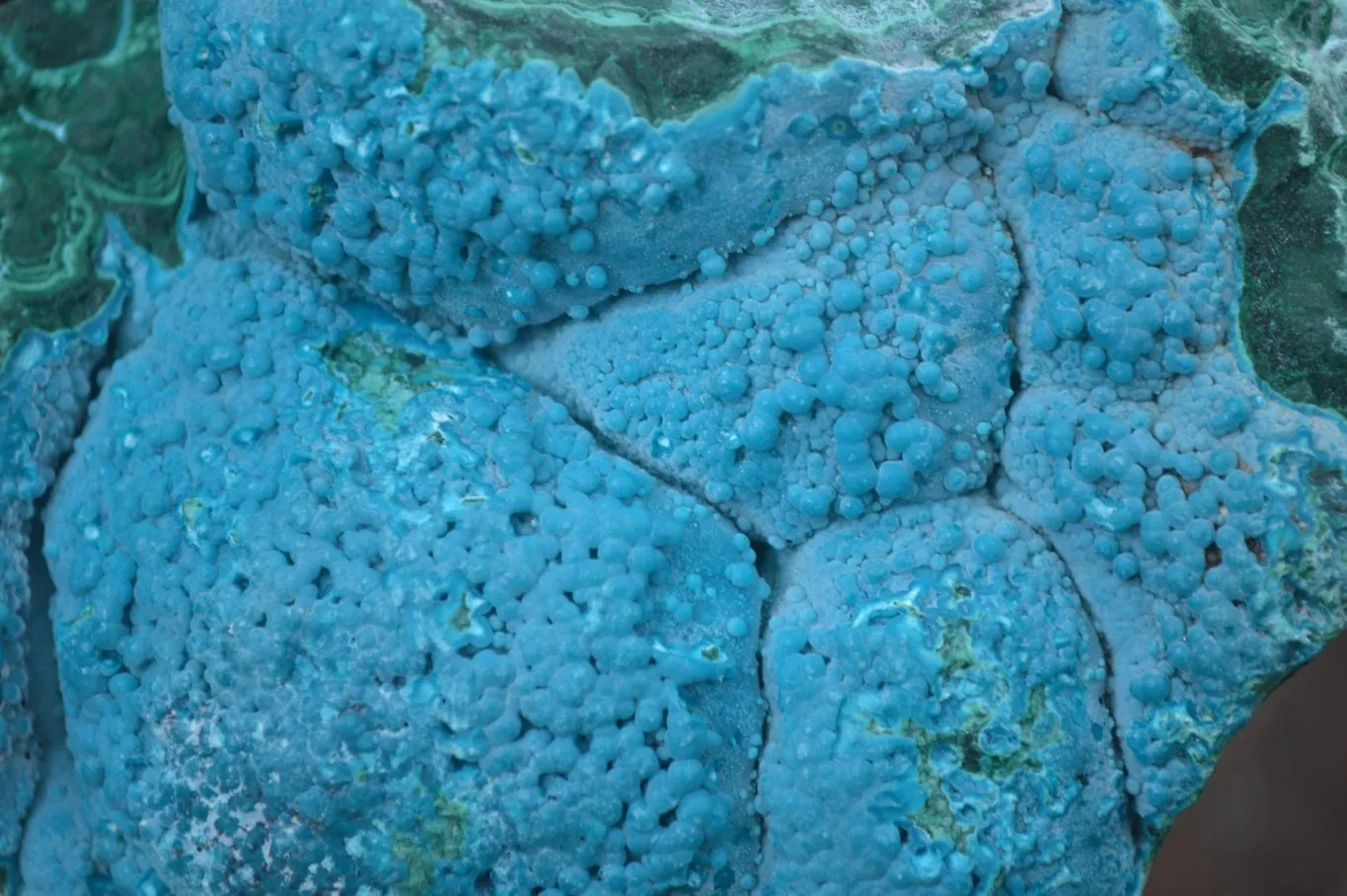 Natural Blue Chrysocolla On Silky Malachite Matrix Specimen x 1 From Kulukuluku, Congo