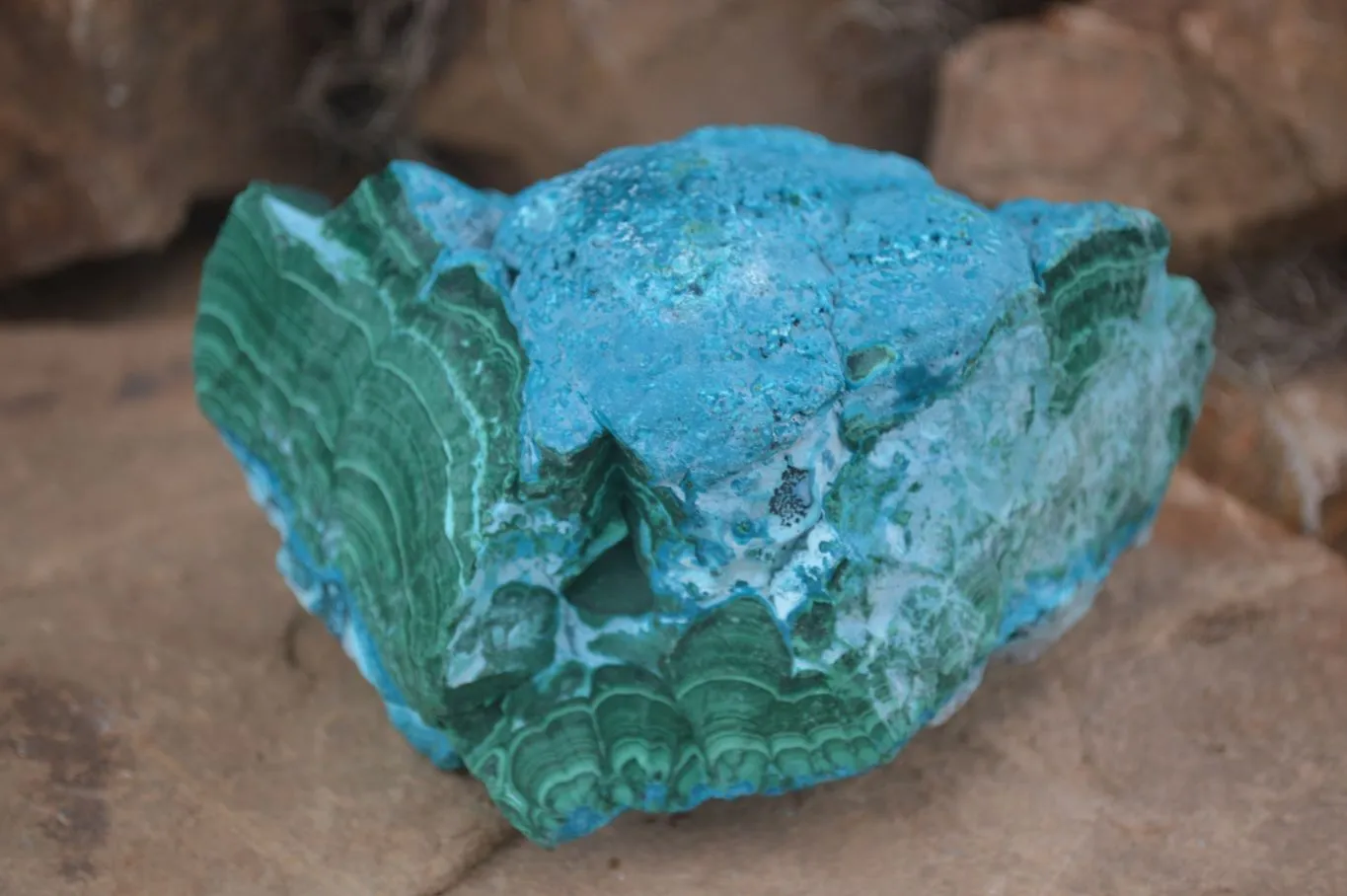 Natural Blue Chrysocolla On Silky Malachite Matrix Specimen x 1 From Kulukuluku, Congo