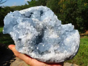Natural Celestite Specimen Has Damage But Nice x 1 From Sakoany, Madagascar