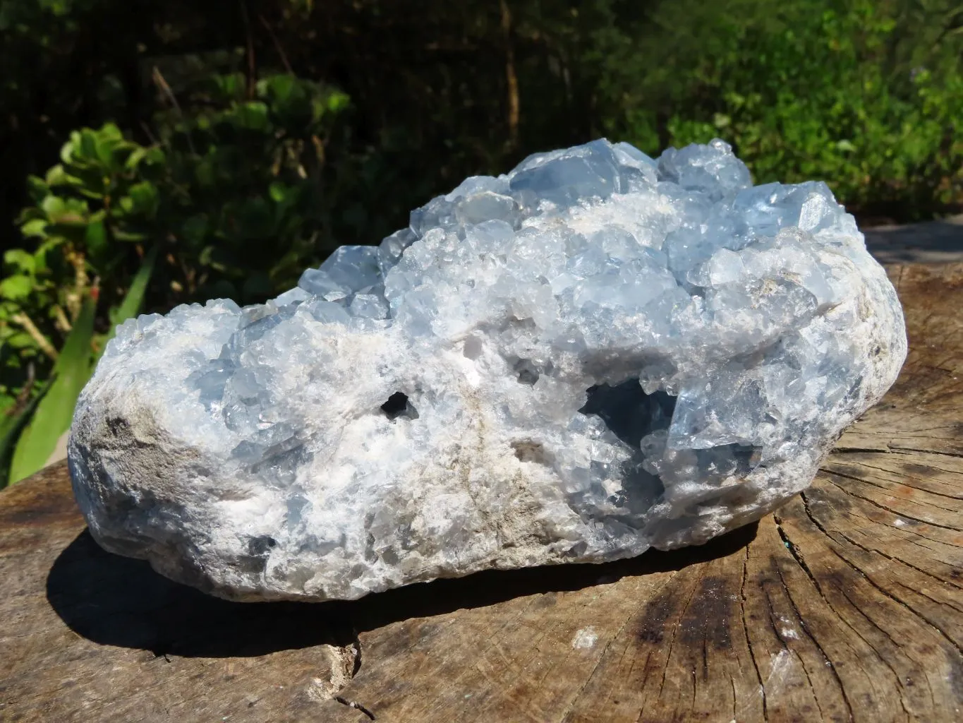 Natural Celestite Specimen Has Damage But Nice x 1 From Sakoany, Madagascar
