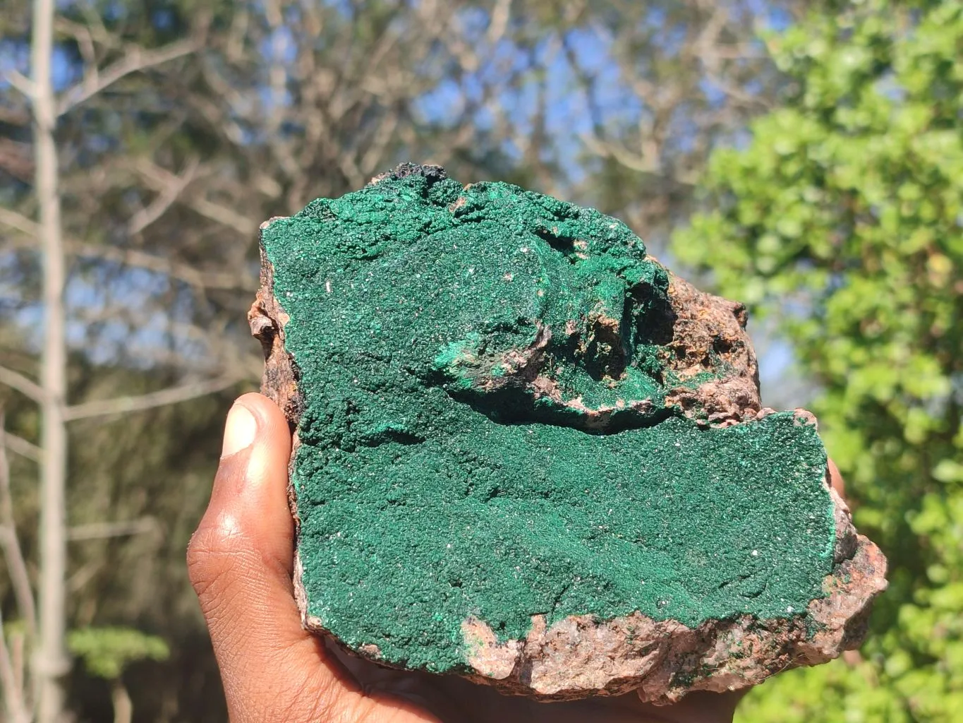 Natural Crystalline Micro Botryoidal Malachite Specimen  x 1 From Congo