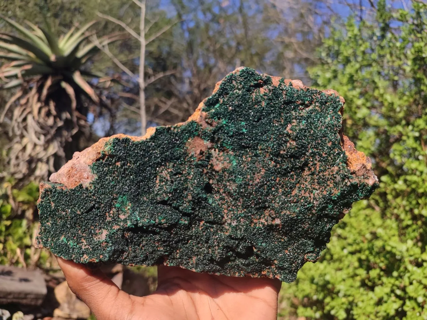 Natural Crystalline Micro Botryoidal Malachite Specimen  x 1 From Congo