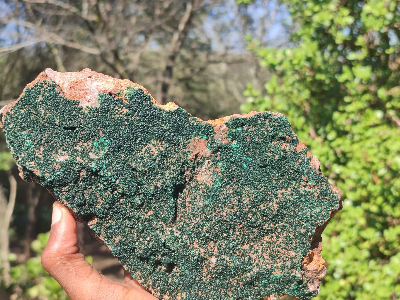 Natural Crystalline Micro Botryoidal Malachite Specimen  x 1 From Congo