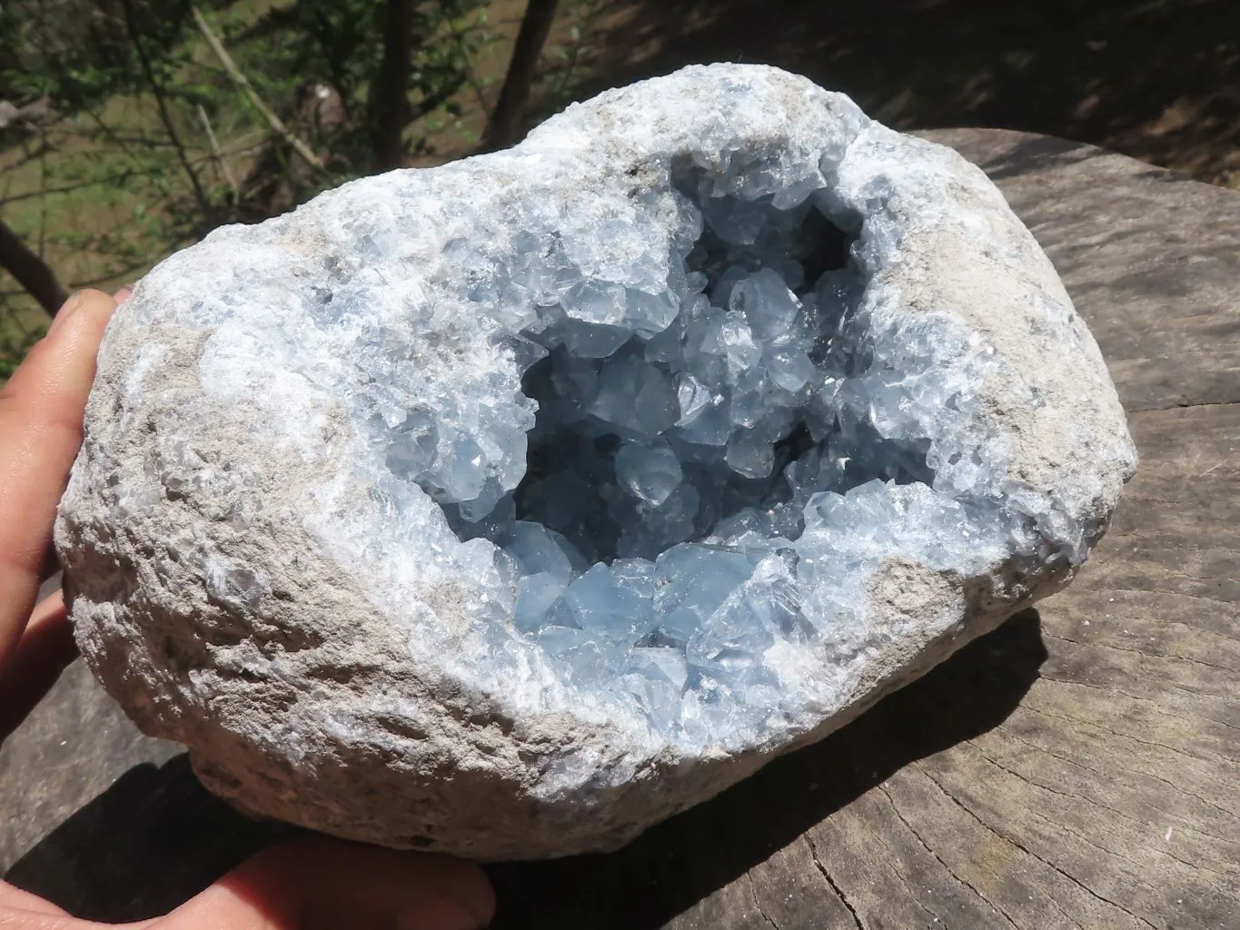 Natural Deep Blue Celestite Geode Specimen  x 1 From Sakoany, Madagascar