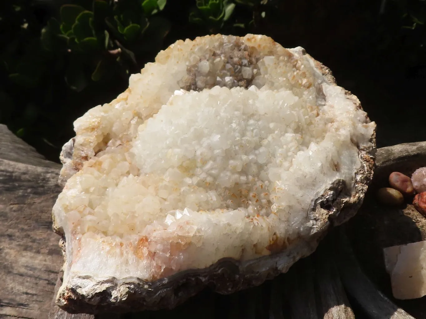Natural Extra Large Agate Plate x 1 From Zululand, South Africa