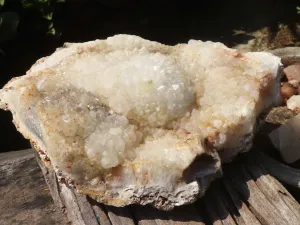 Natural Extra Large Agate Plate x 1 From Zululand, South Africa