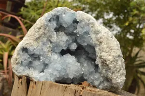 Natural Extra Large Blue Celestite Geode With Cubic Crystals  x 1 From Sakoany, Madagascar