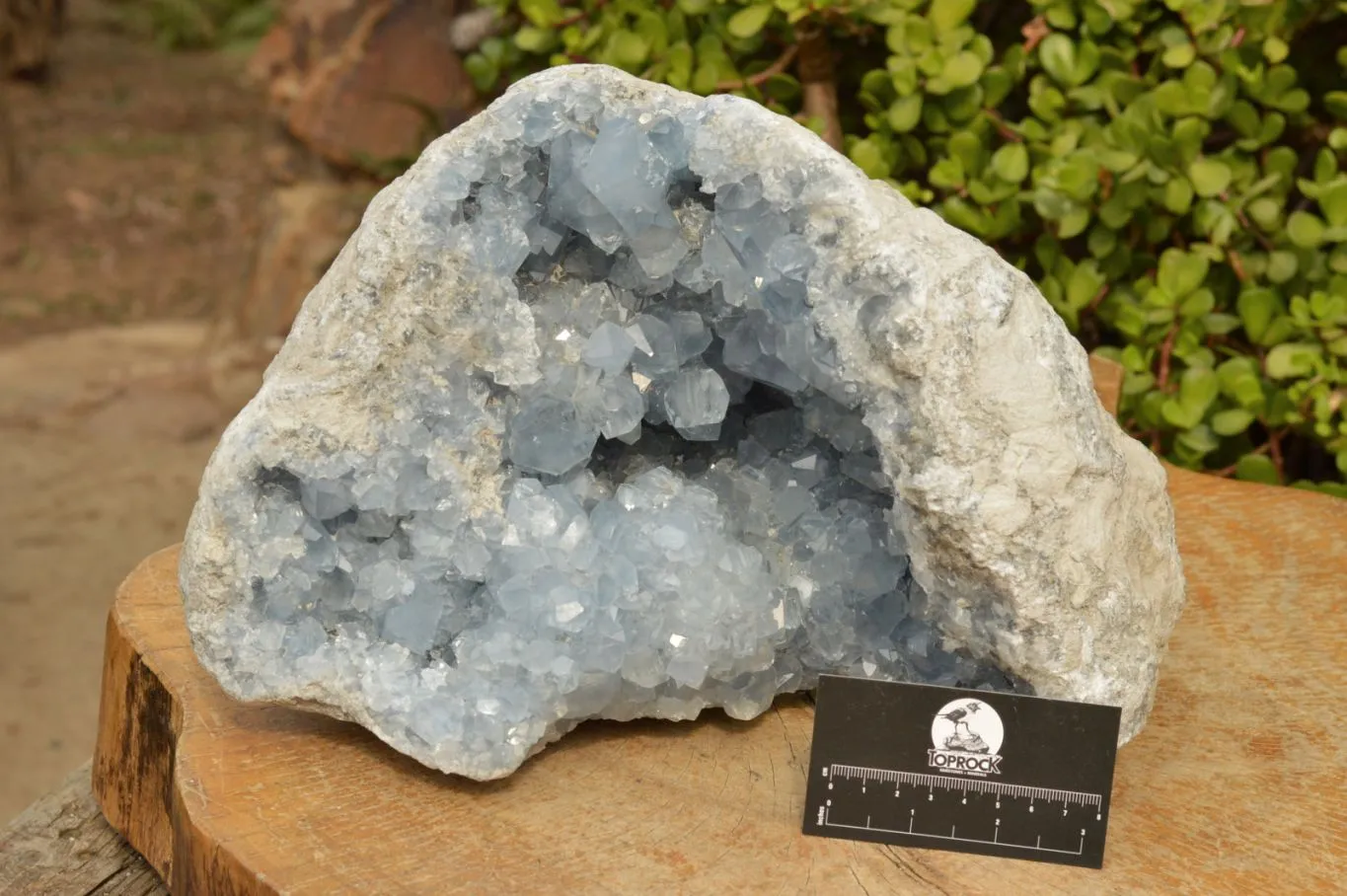 Natural Extra Large Blue Celestite Geode With Cubic Crystals  x 1 From Sakoany, Madagascar