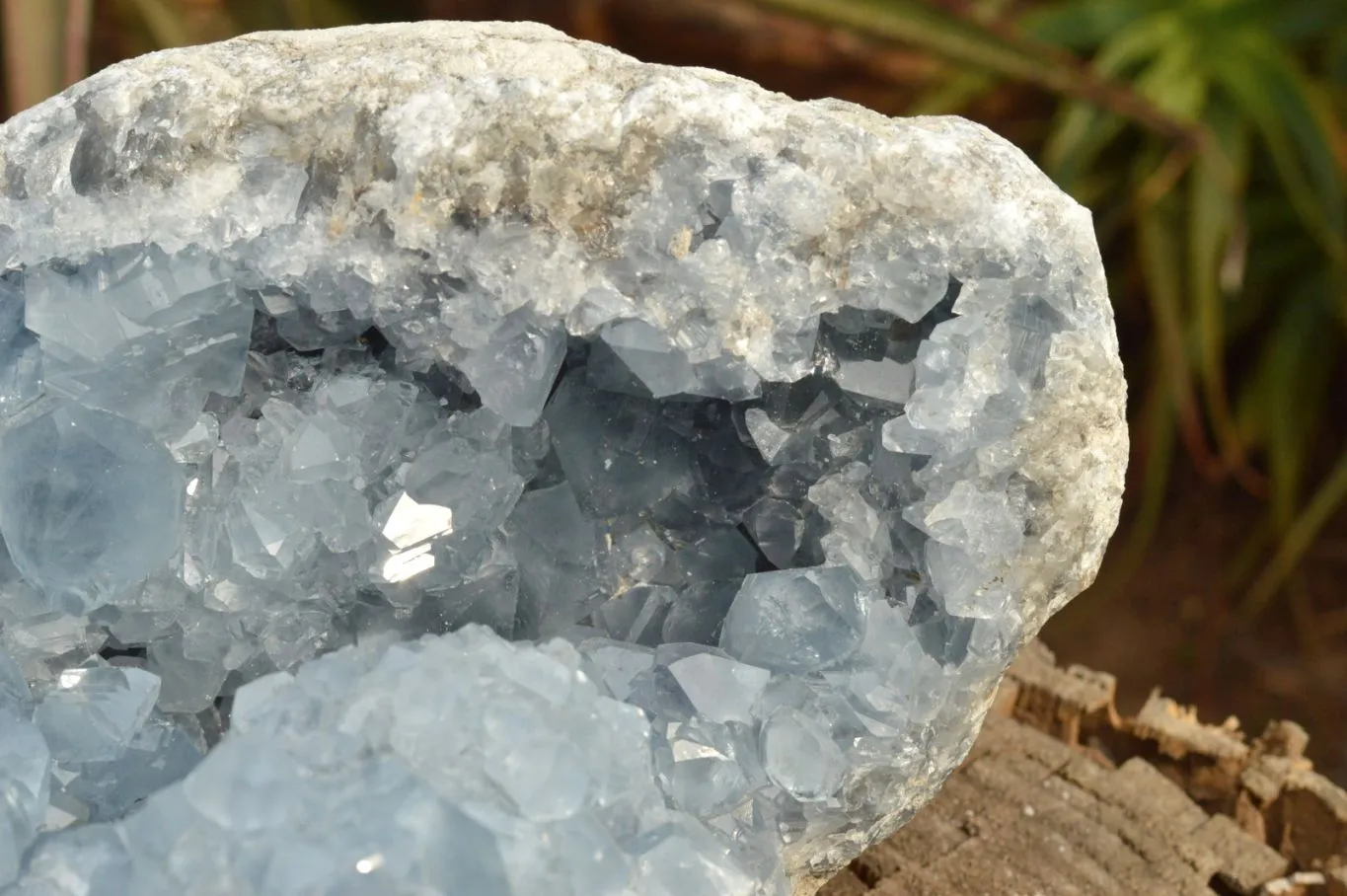 Natural Extra Large Blue Celestite Geode With Cubic Crystals  x 1 From Sakoany, Madagascar