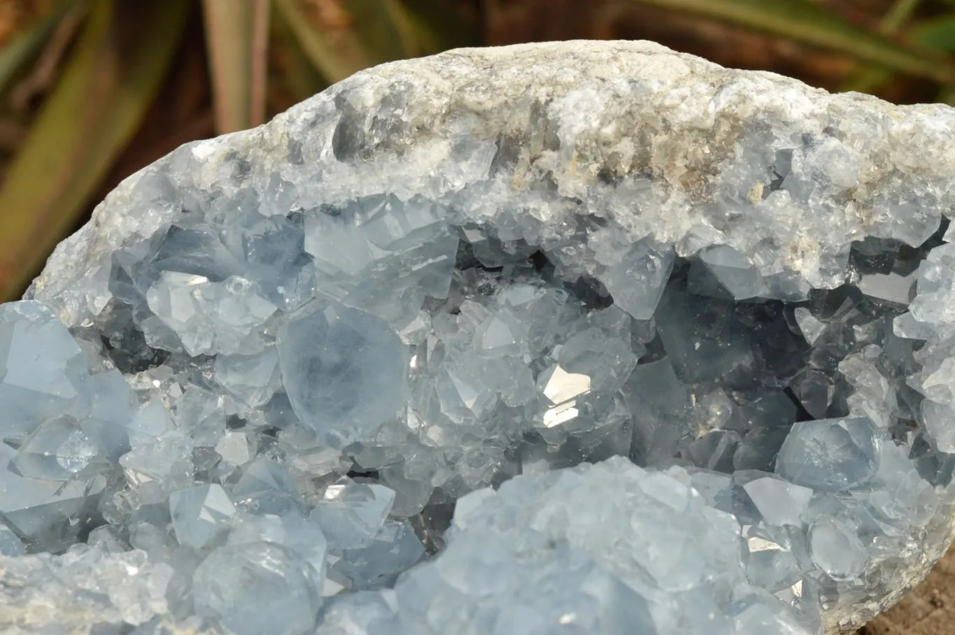 Natural Extra Large Blue Celestite Geode With Cubic Crystals  x 1 From Sakoany, Madagascar