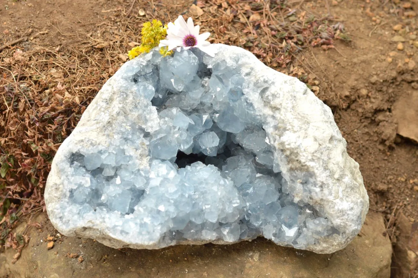 Natural Extra Large Blue Celestite Geode With Cubic Crystals  x 1 From Sakoany, Madagascar