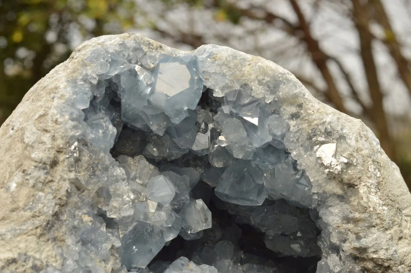 Natural Extra Large Blue Celestite Geode With Cubic Crystals  x 1 From Sakoany, Madagascar