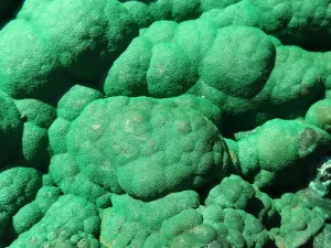 Natural Extra Large Botryoidal Malachite With Chrysocolla Specimen  x 1 From Kolwezi, Congo