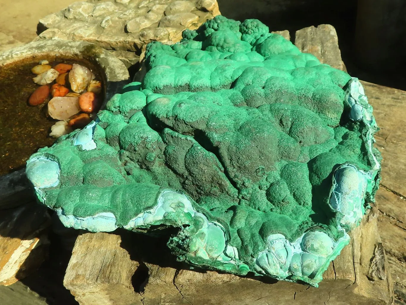 Natural Extra Large Botryoidal Malachite With Chrysocolla Specimen  x 1 From Kolwezi, Congo