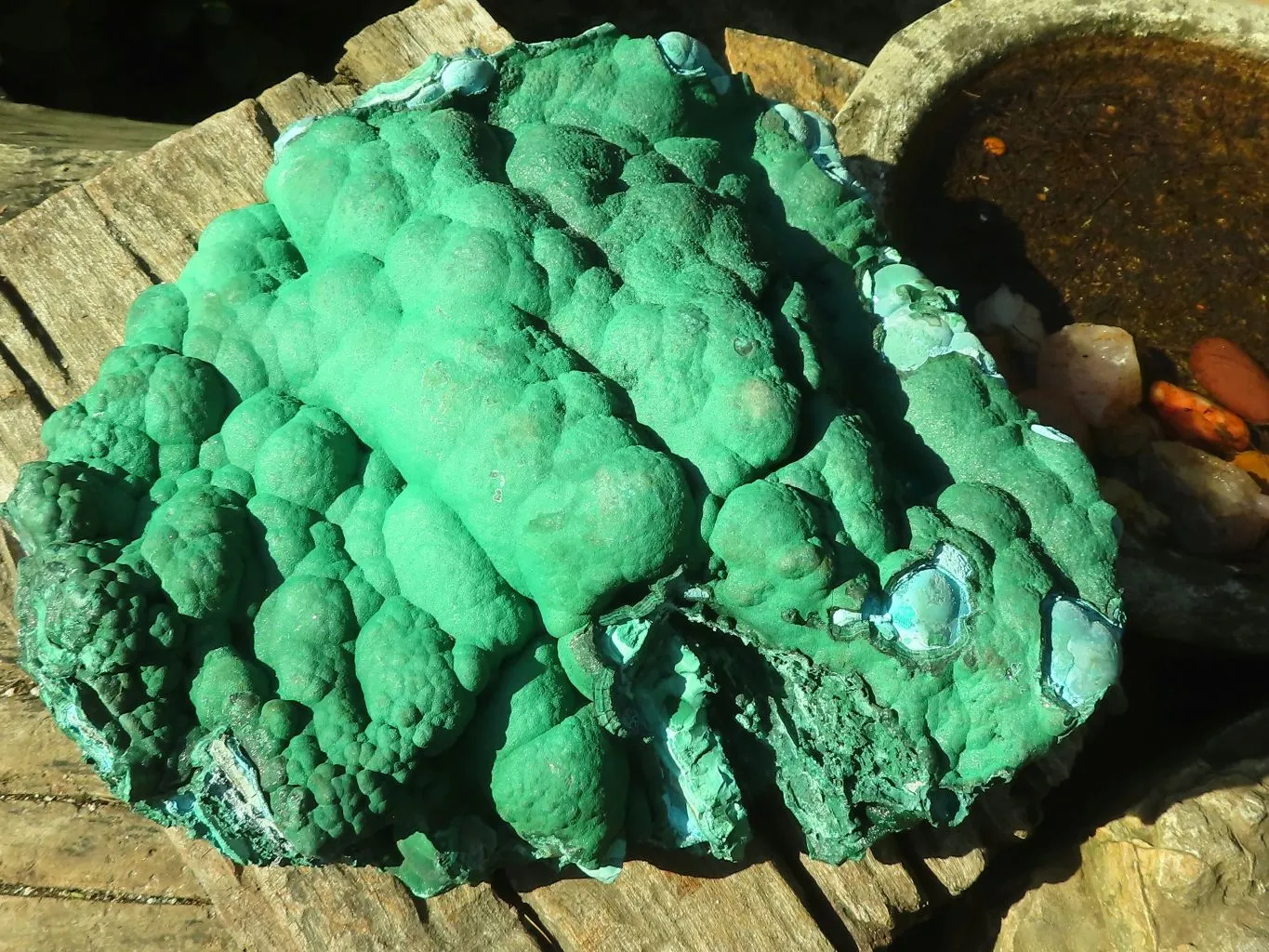 Natural Extra Large Botryoidal Malachite With Chrysocolla Specimen  x 1 From Kolwezi, Congo