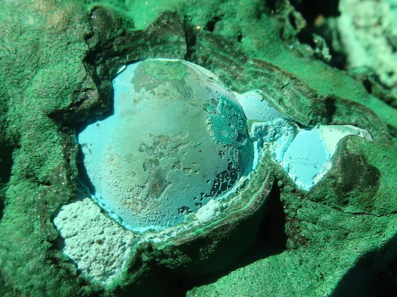 Natural Extra Large Botryoidal Malachite With Chrysocolla Specimen  x 1 From Kolwezi, Congo