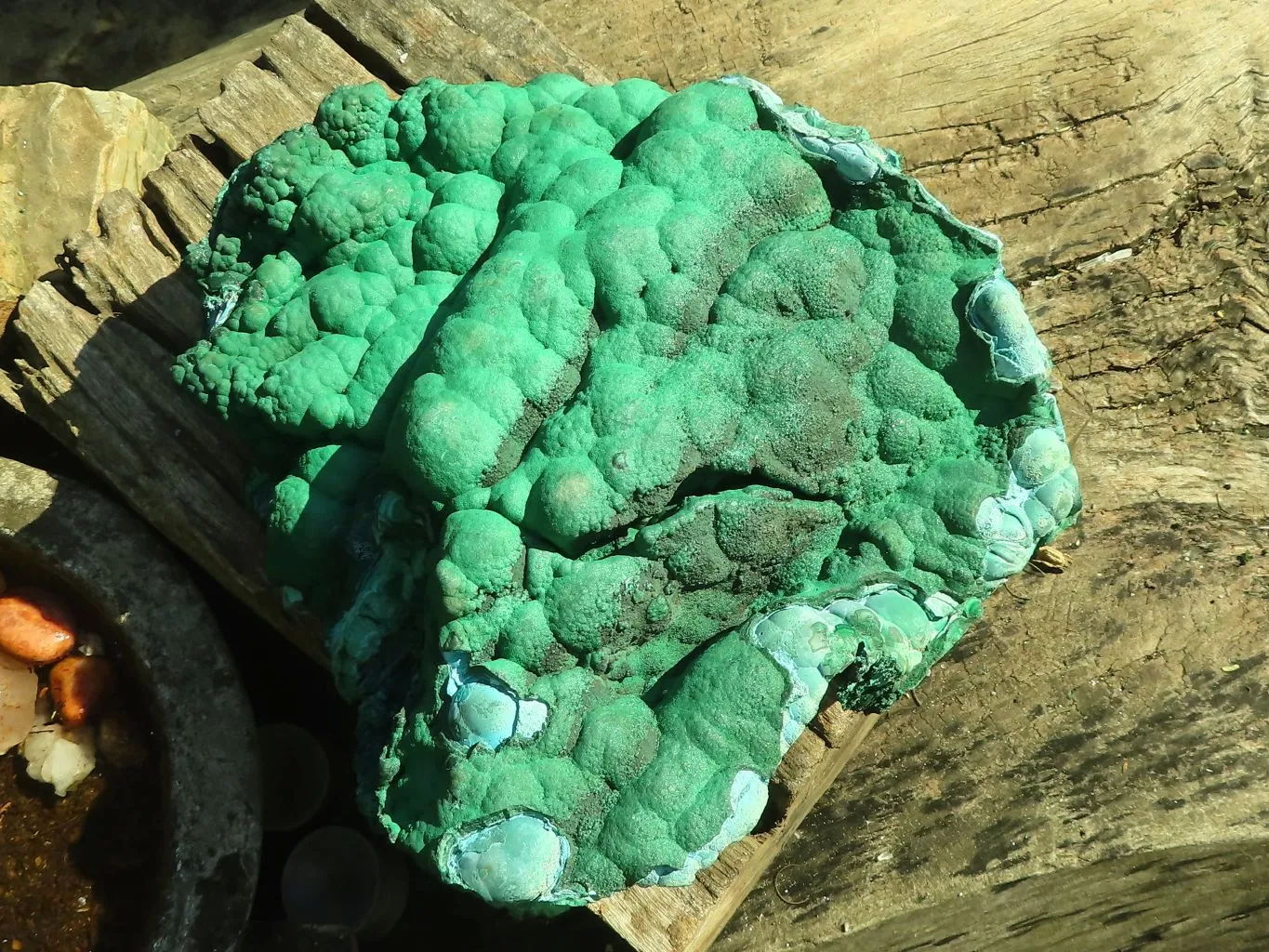 Natural Extra Large Botryoidal Malachite With Chrysocolla Specimen  x 1 From Kolwezi, Congo