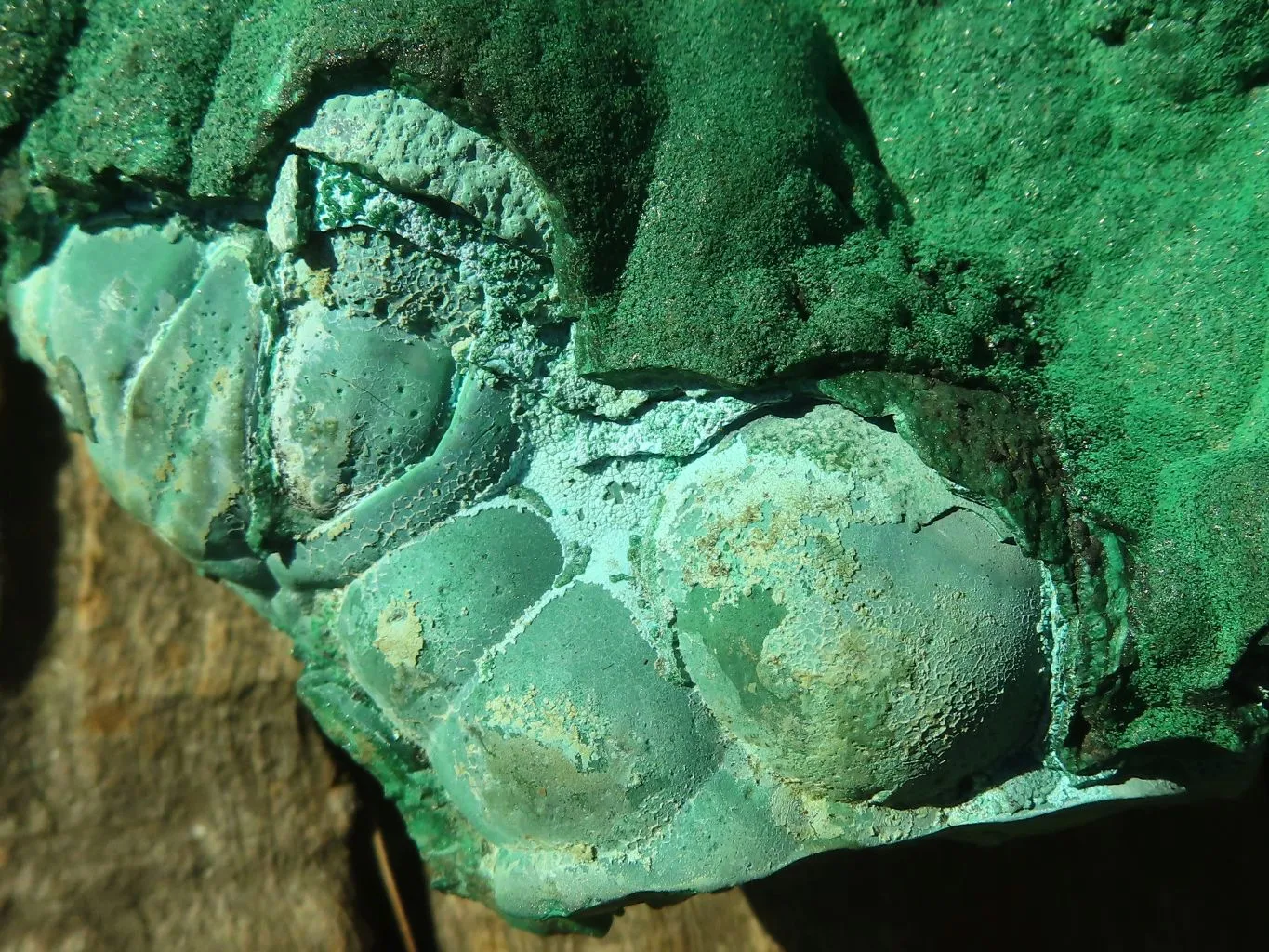 Natural Extra Large Botryoidal Malachite With Chrysocolla Specimen  x 1 From Kolwezi, Congo