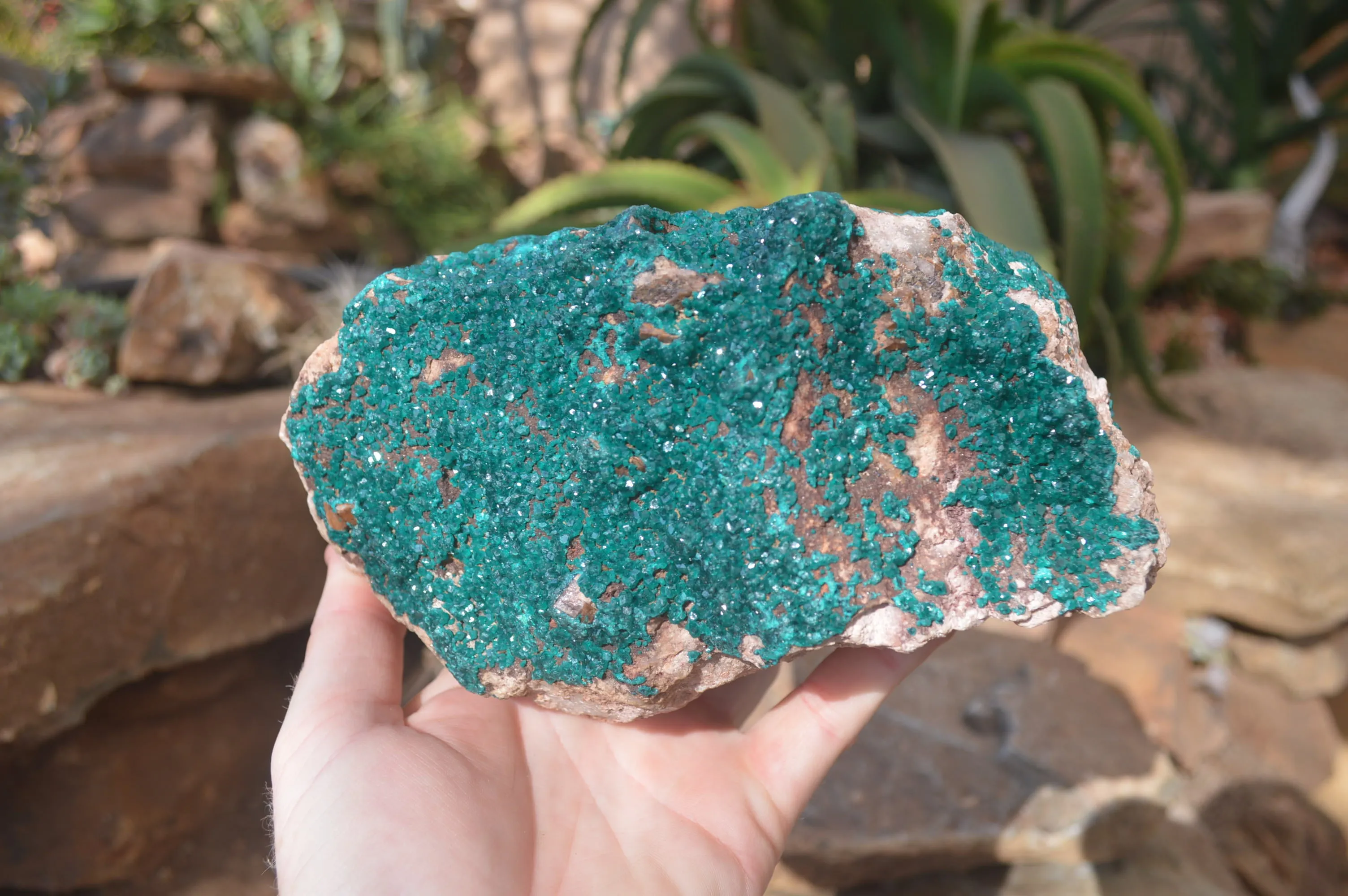 Natural Extra Large Emerald Dioptase Dolomite Specimen  x 1 From Likasi, Congo