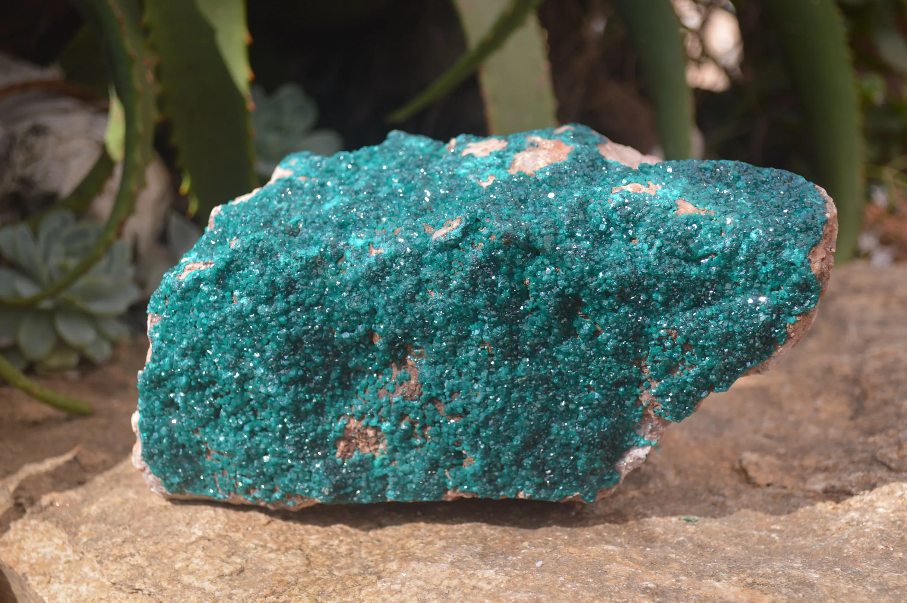 Natural Extra Large Emerald Dioptase Dolomite Specimen  x 1 From Likasi, Congo
