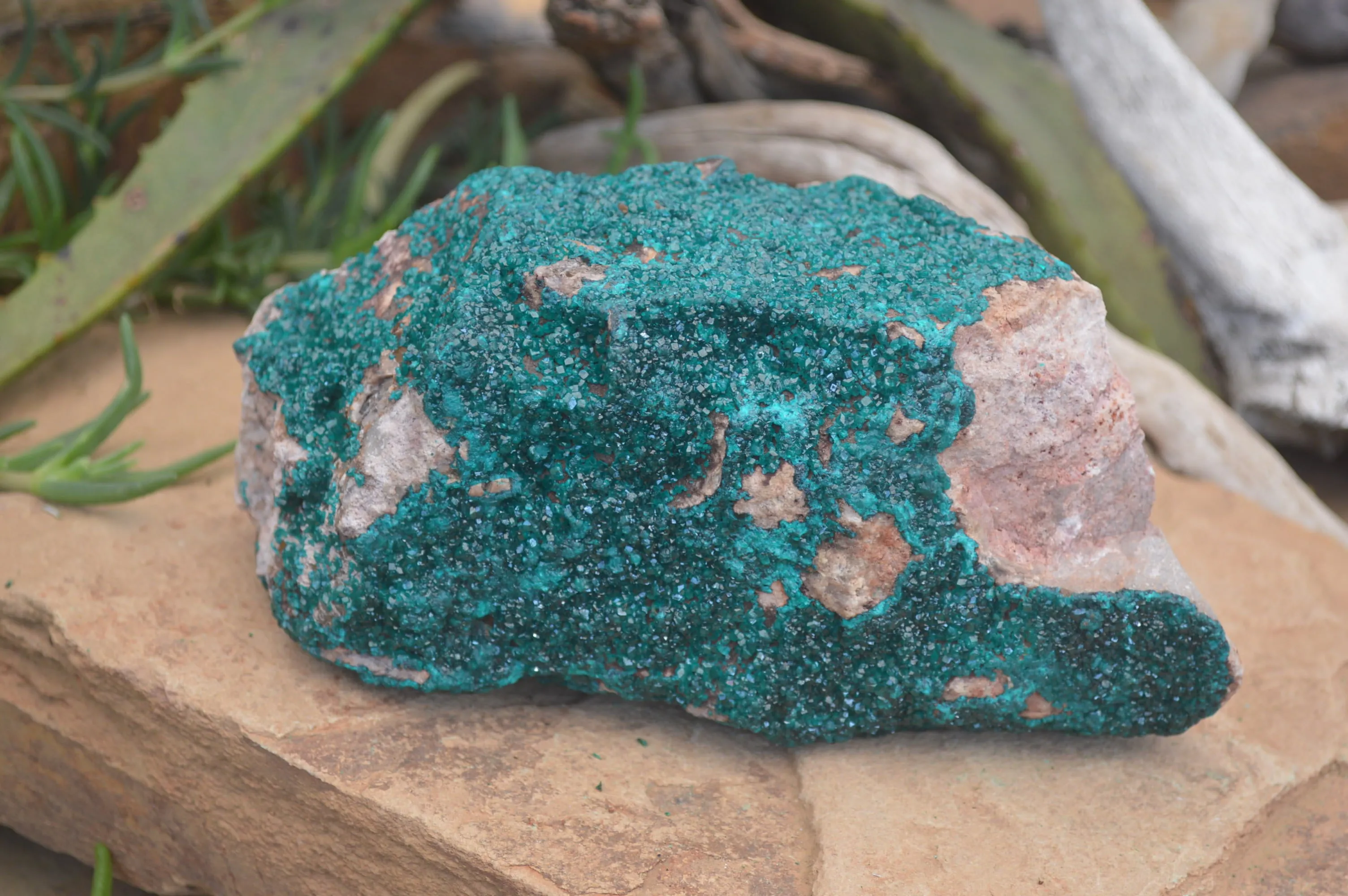 Natural Extra Large Emerald Dioptase Dolomite Specimen  x 1 From Likasi, Congo