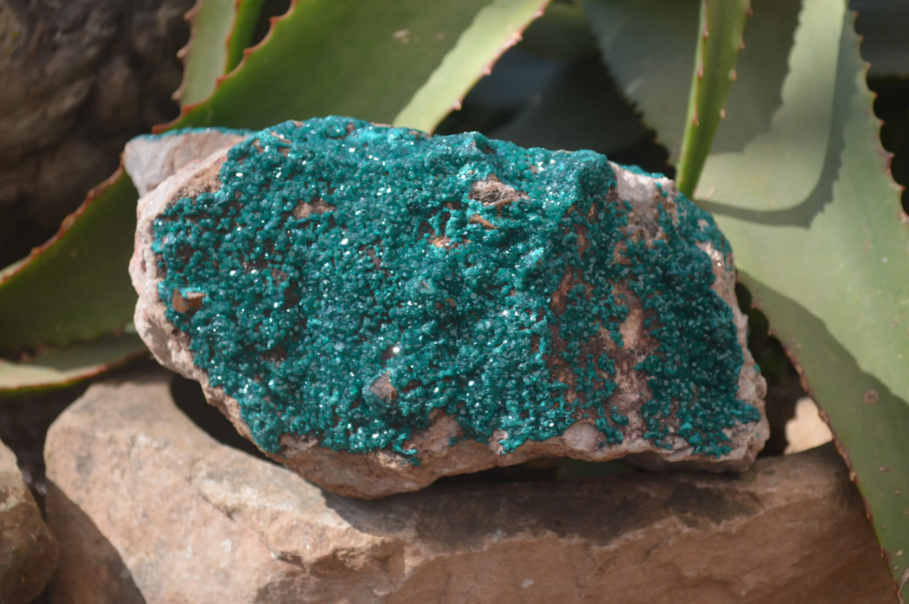 Natural Extra Large Emerald Dioptase Dolomite Specimen  x 1 From Likasi, Congo