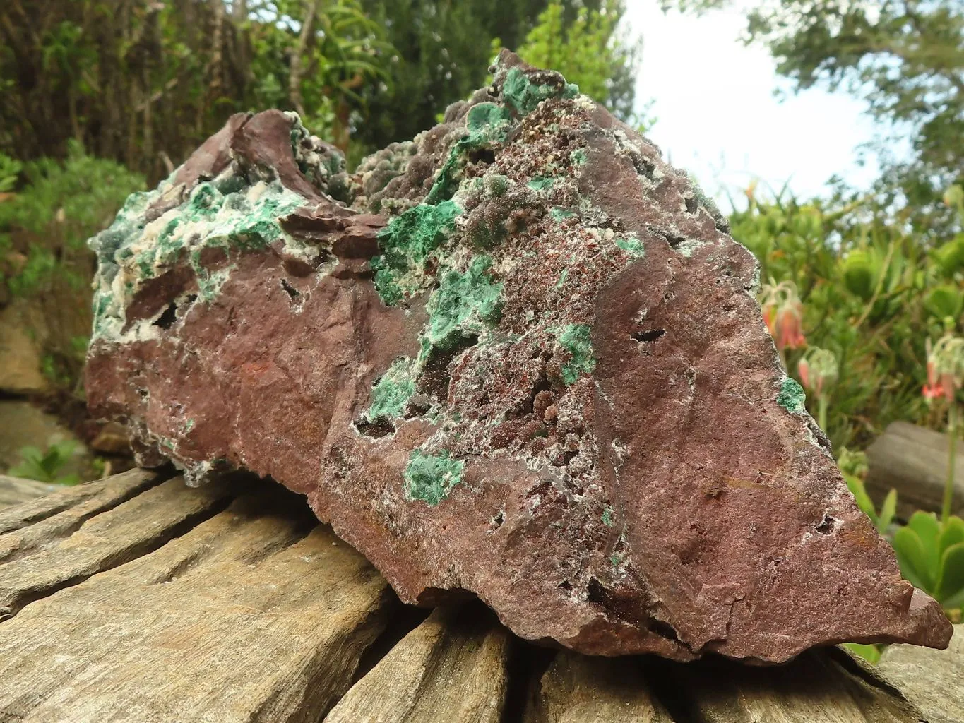 Natural Extra Large Rare Ball Malachite On Drusy Quartz & Dolomite Matrix x 1 From Kambove, Congo