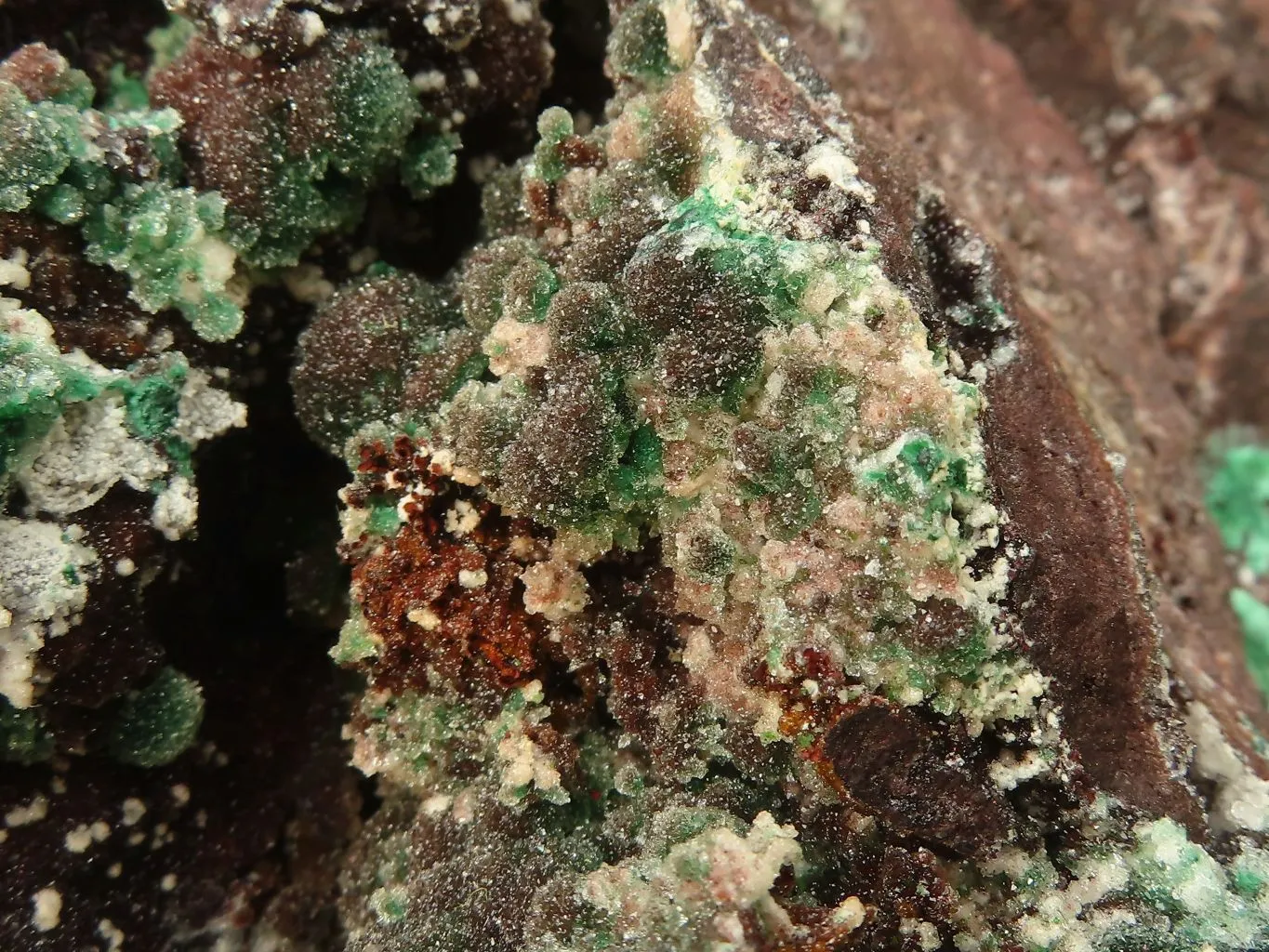 Natural Extra Large Rare Ball Malachite On Drusy Quartz & Dolomite Matrix x 1 From Kambove, Congo