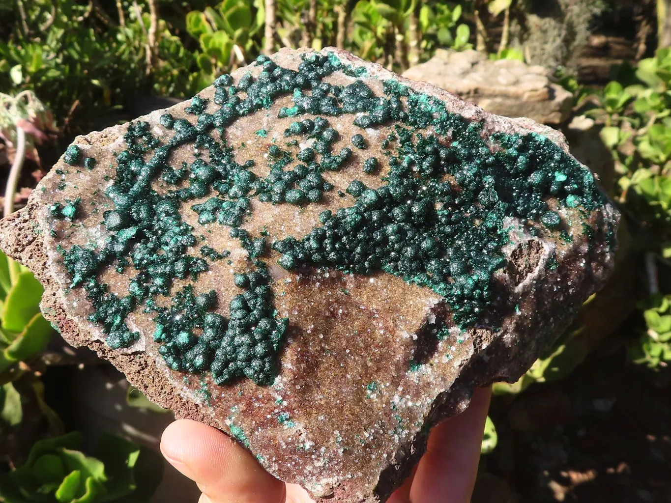 Natural Extra Large Rare Ball Malachite Specimen x 1 From Congo