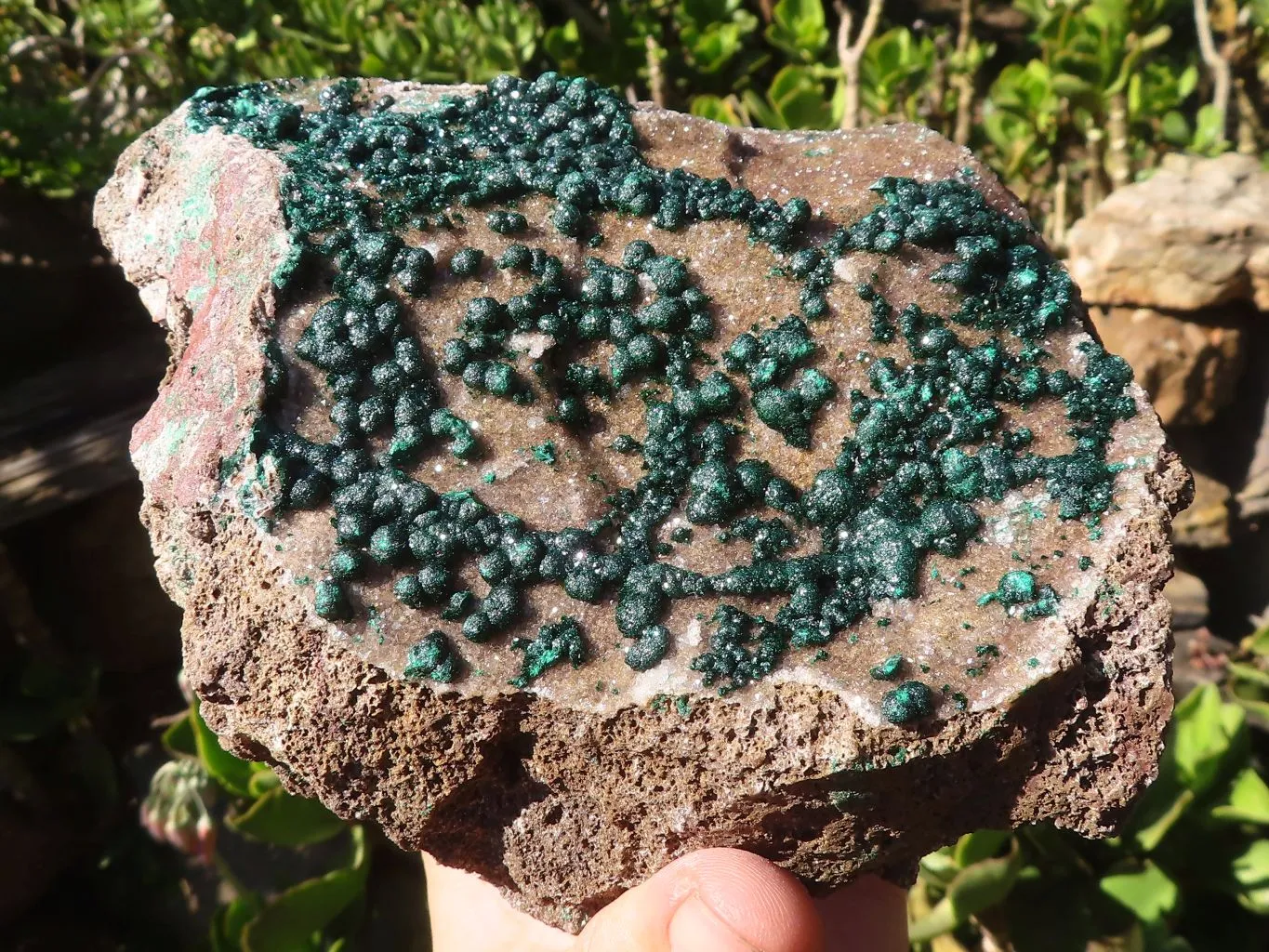 Natural Extra Large Rare Ball Malachite Specimen x 1 From Congo