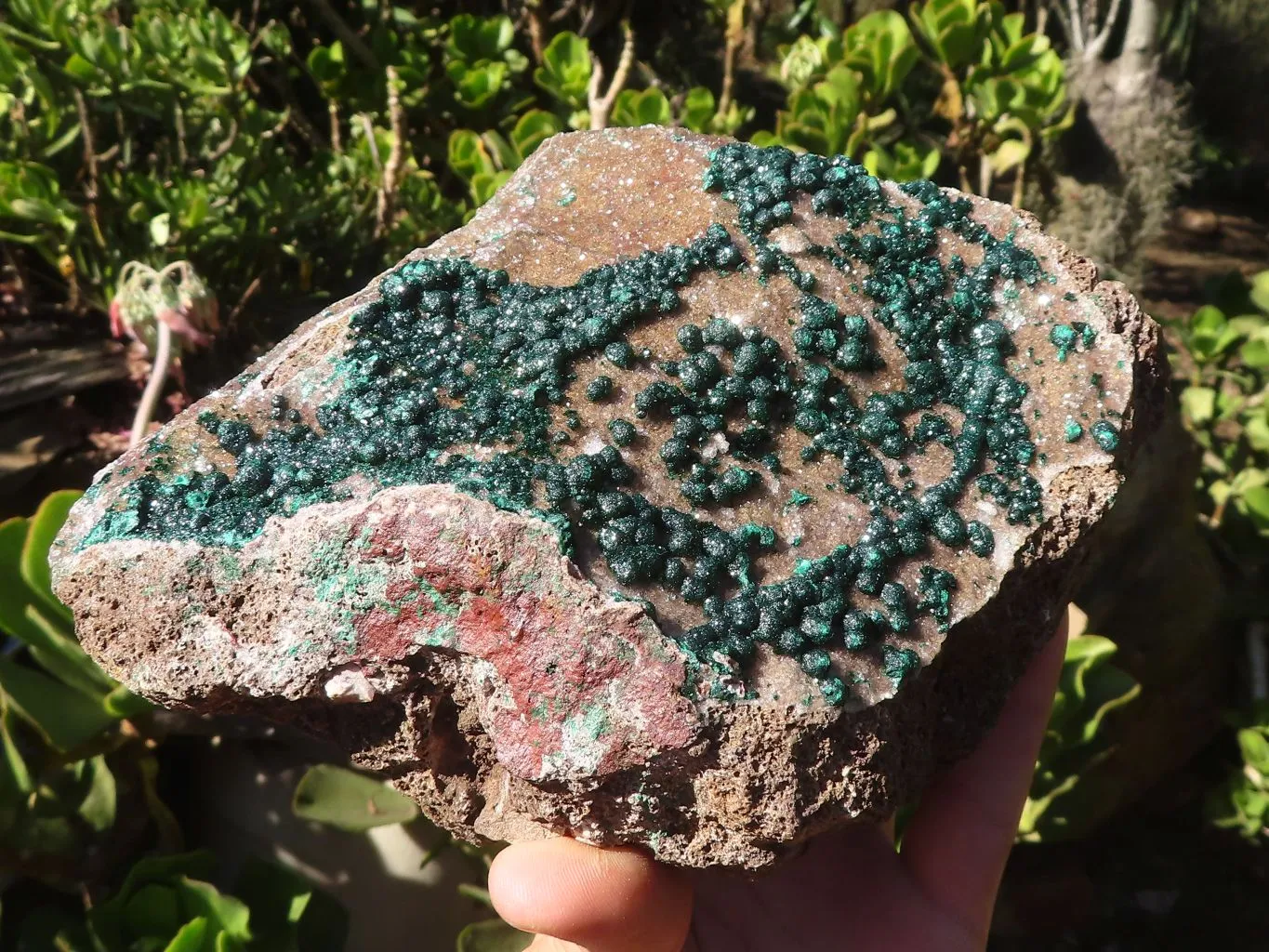 Natural Extra Large Rare Ball Malachite Specimen x 1 From Congo