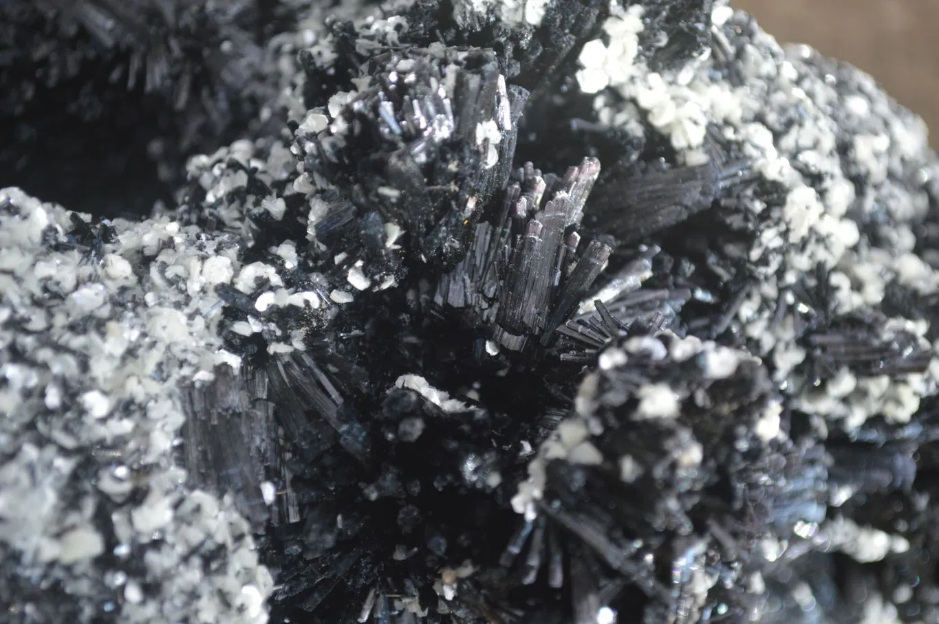 Natural Extra Large Splayed Schorl Black Tourmaline & Vermiculite Specimen x 1 From Erongo, Namibia