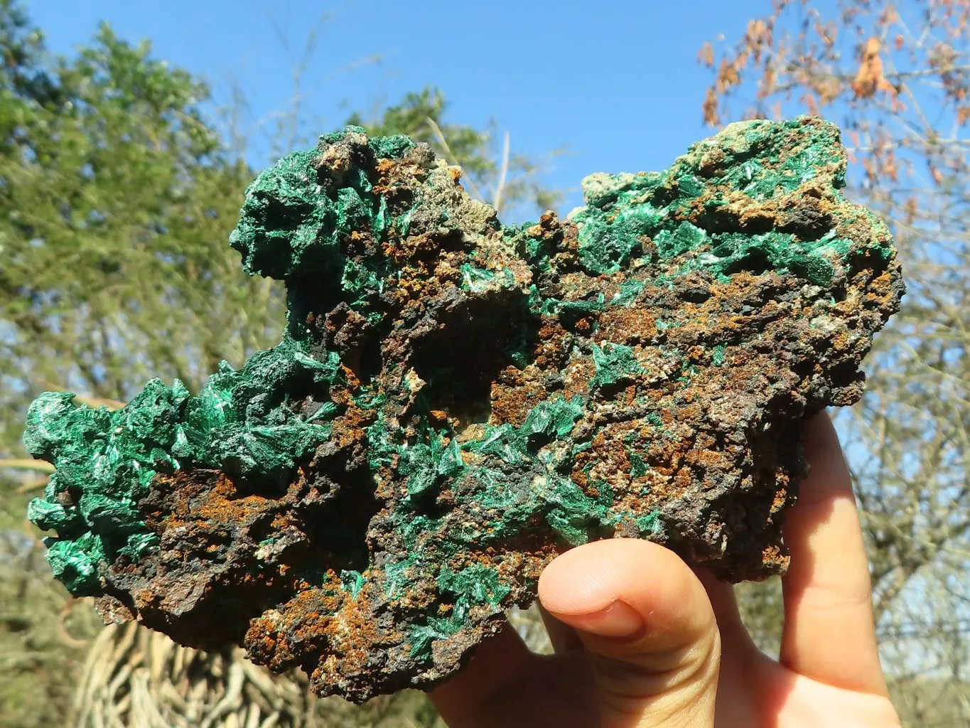 Natural Fibrous Acicular Silky Malachite Specimen  x 1 From Kasompe, Congo