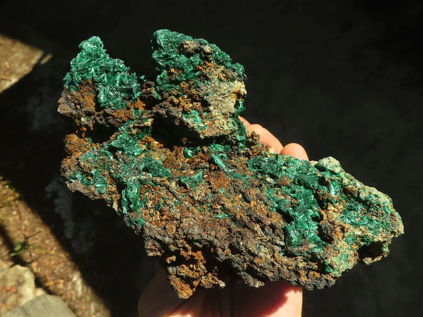 Natural Fibrous Acicular Silky Malachite Specimen  x 1 From Kasompe, Congo