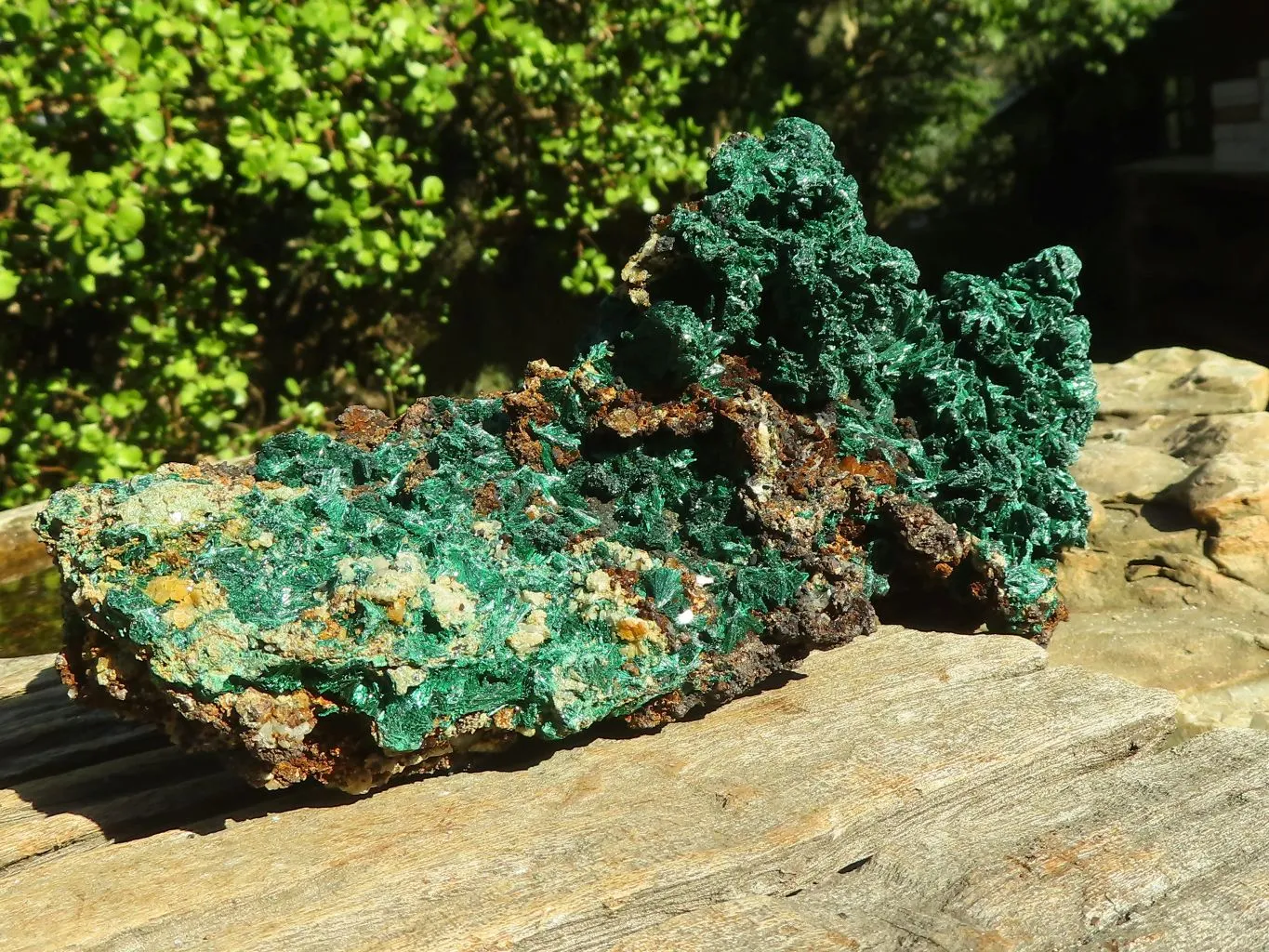 Natural Fibrous Acicular Silky Malachite Specimen  x 1 From Kasompe, Congo