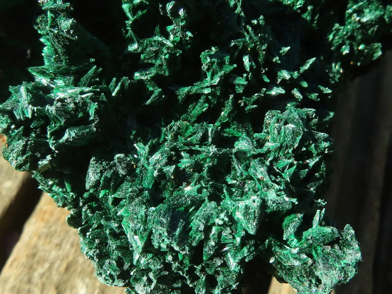 Natural Fibrous Acicular Silky Malachite Specimen  x 1 From Kasompe, Congo