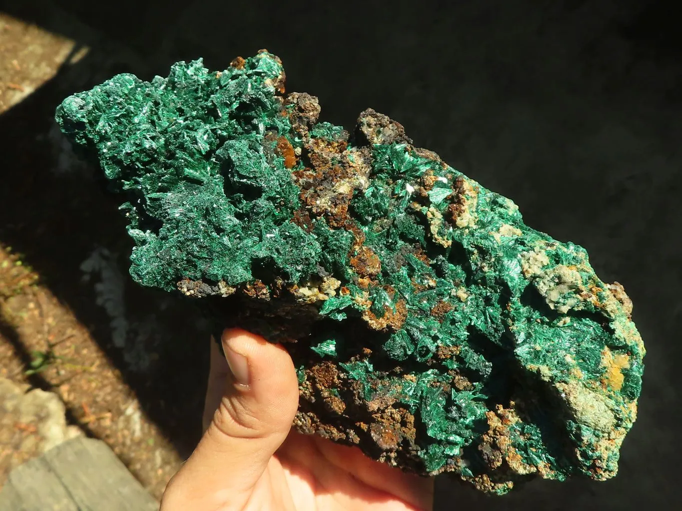 Natural Fibrous Acicular Silky Malachite Specimen  x 1 From Kasompe, Congo