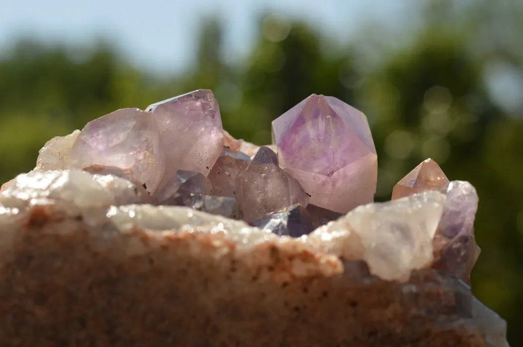 Natural Jacaranda Amethyst Quartz Cluster x 1 From Mumbwe, Zambia