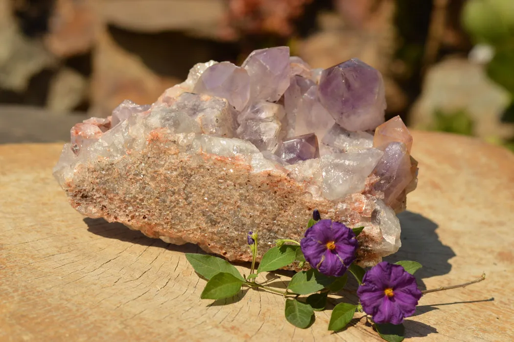 Natural Jacaranda Amethyst Quartz Cluster x 1 From Mumbwe, Zambia