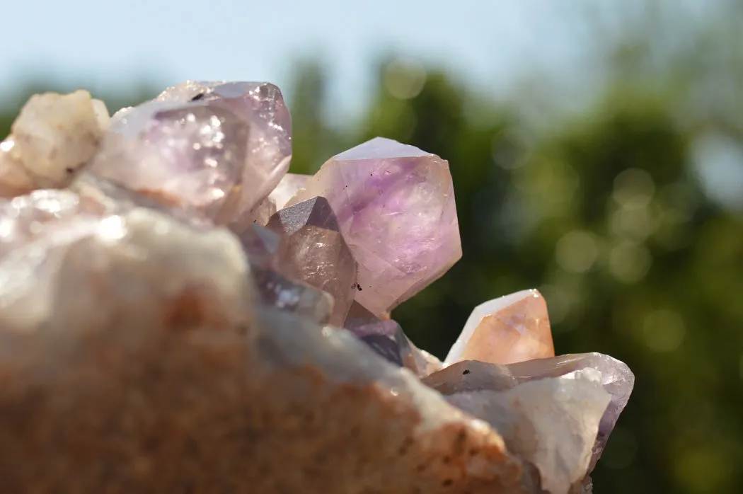 Natural Jacaranda Amethyst Quartz Cluster x 1 From Mumbwe, Zambia