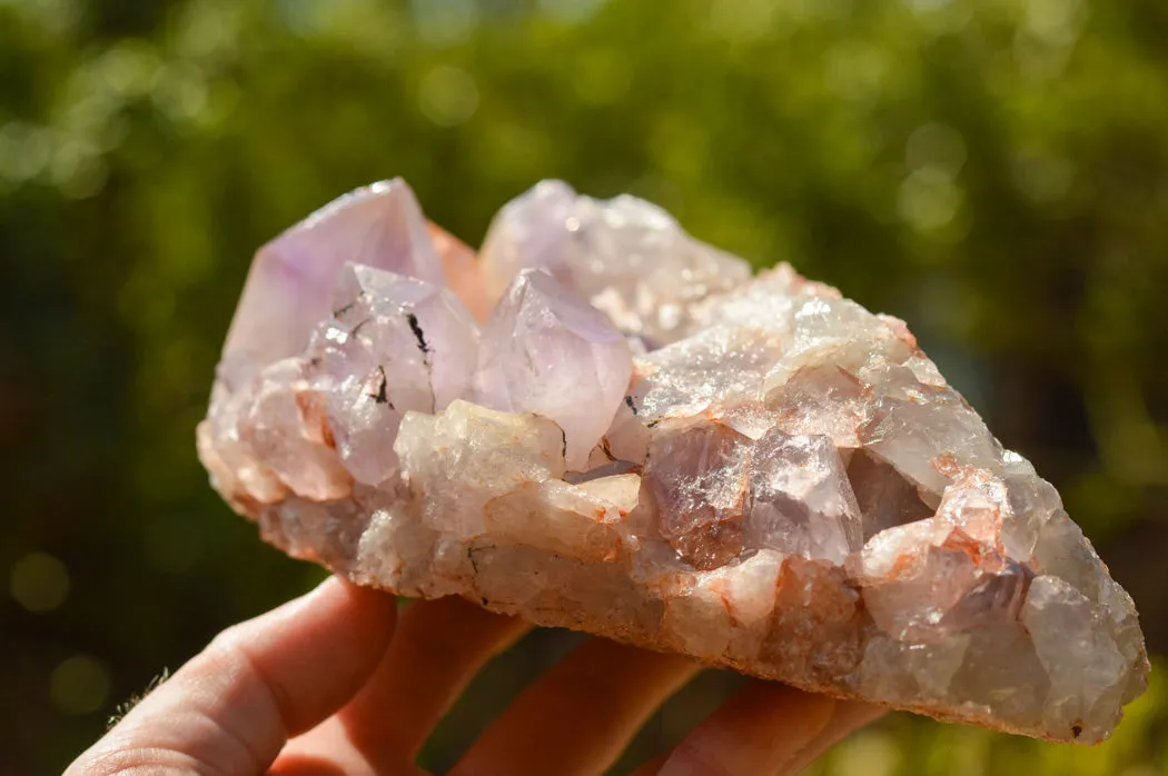 Natural Jacaranda Amethyst Quartz Cluster x 1 From Mumbwe, Zambia