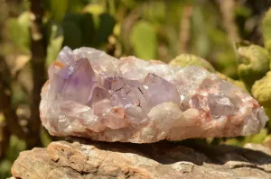 Natural Jacaranda Amethyst Quartz Cluster x 1 From Mumbwe, Zambia