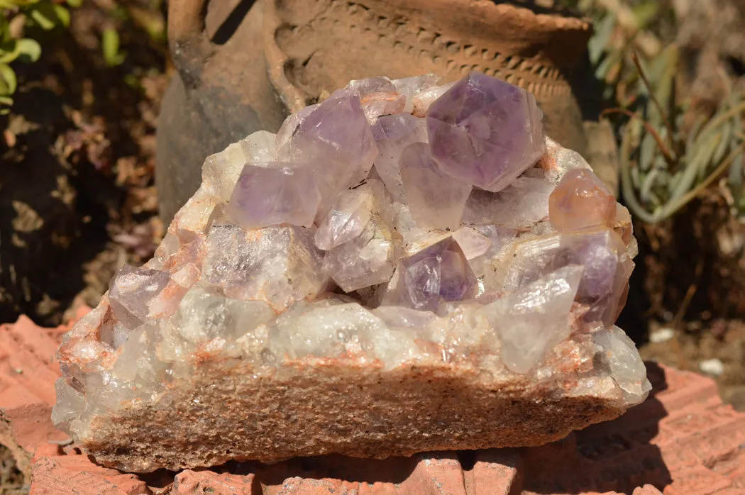 Natural Jacaranda Amethyst Quartz Cluster x 1 From Mumbwe, Zambia