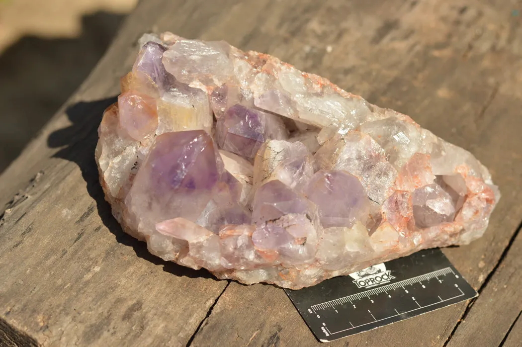 Natural Jacaranda Amethyst Quartz Cluster x 1 From Mumbwe, Zambia